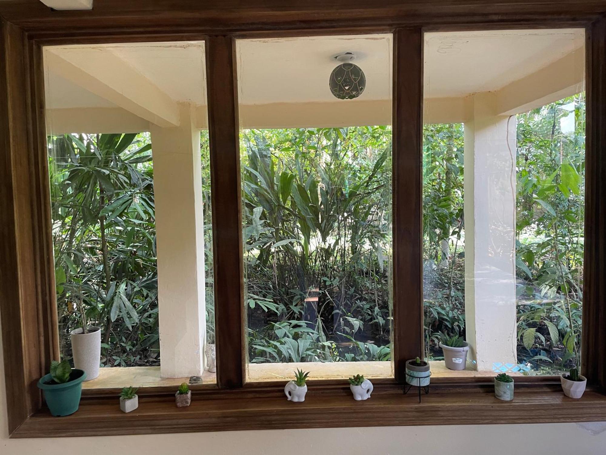 Willa Casa Jaguar Tortuguero Zewnętrze zdjęcie