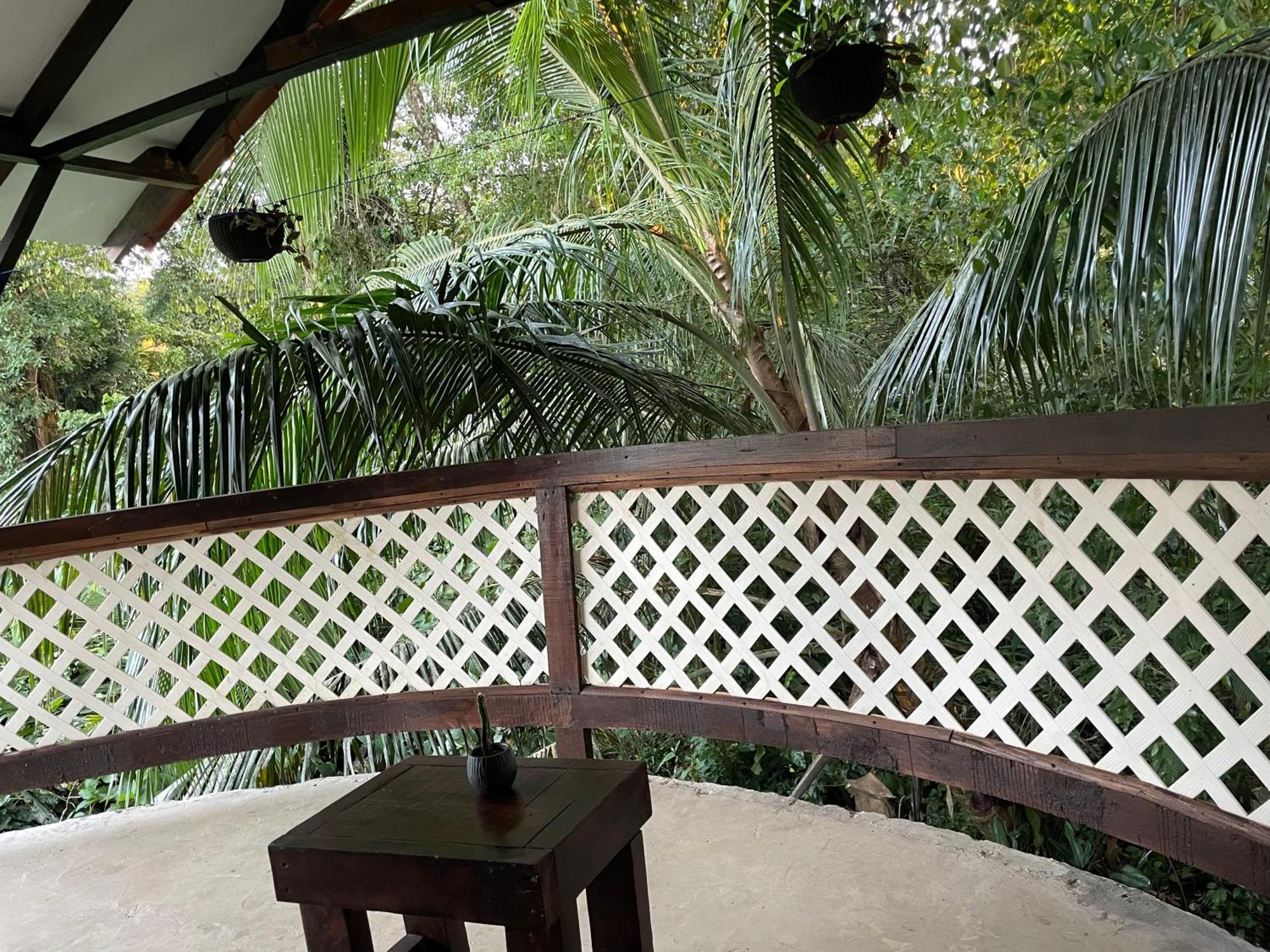 Willa Casa Jaguar Tortuguero Zewnętrze zdjęcie