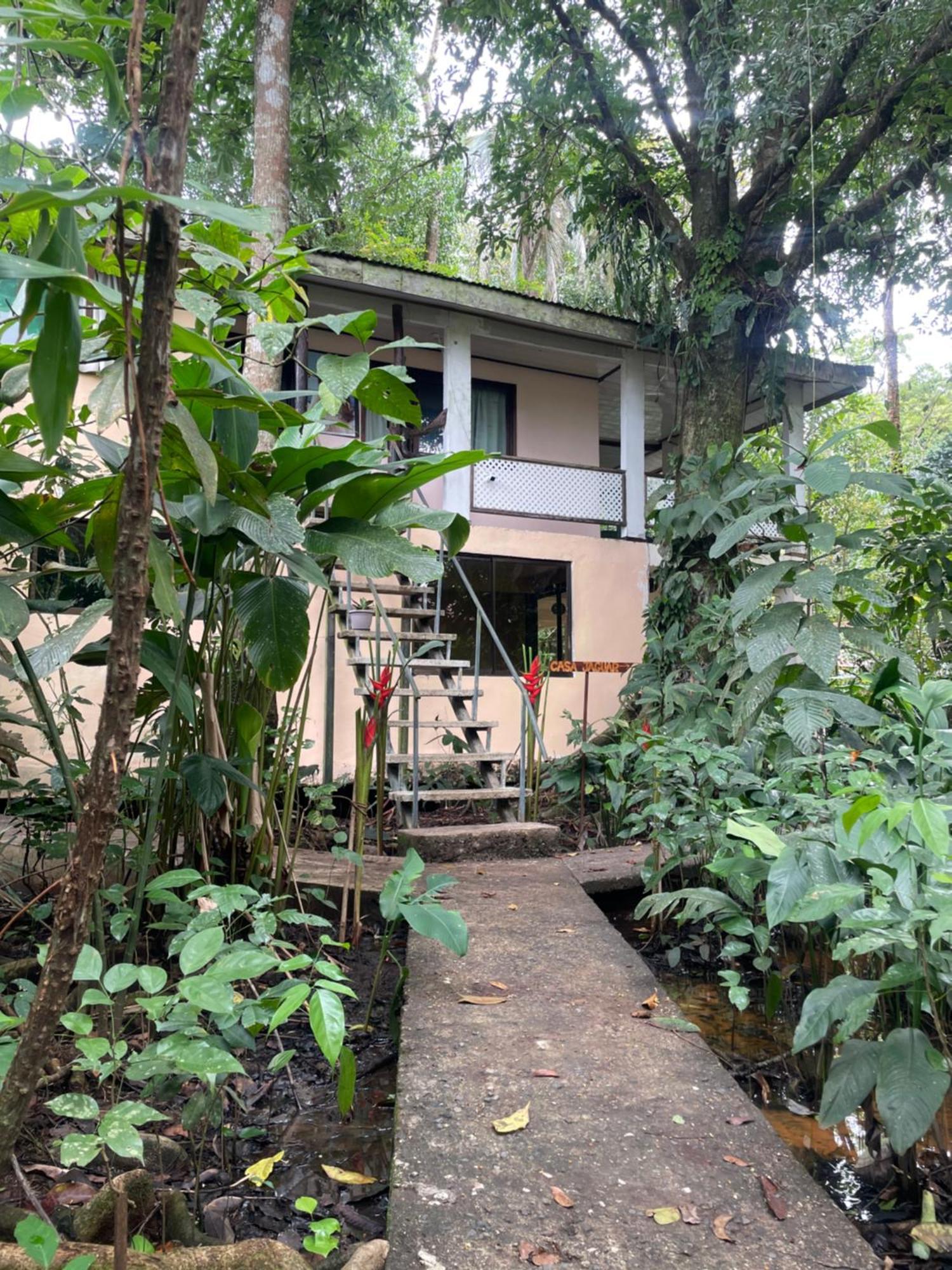 Willa Casa Jaguar Tortuguero Zewnętrze zdjęcie